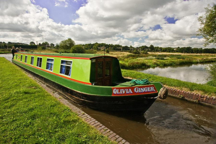 Photo #1 - ClassicOlivia Ginger (1144) in  - 488