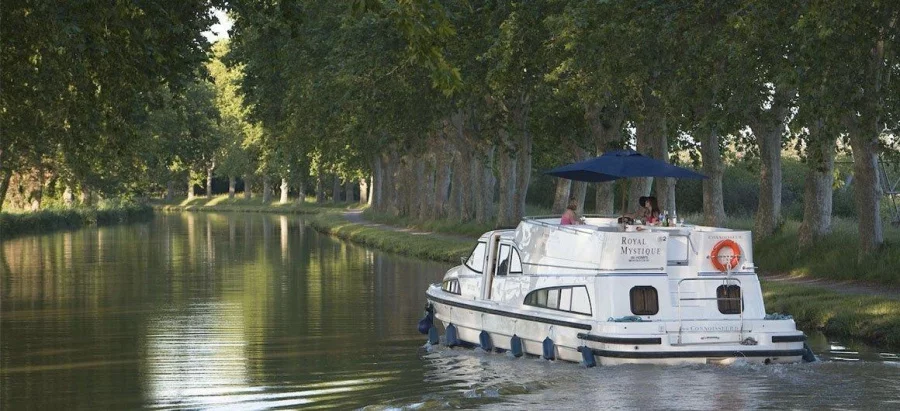 Comfort PlusRoyal Mystique A (33)  - 1