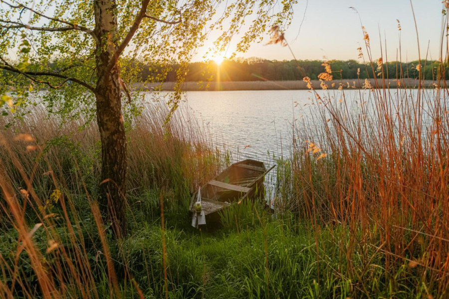 Photo #68 - FLOATING33 (Hausboot Red Pearl) en Zehdenick - 1858