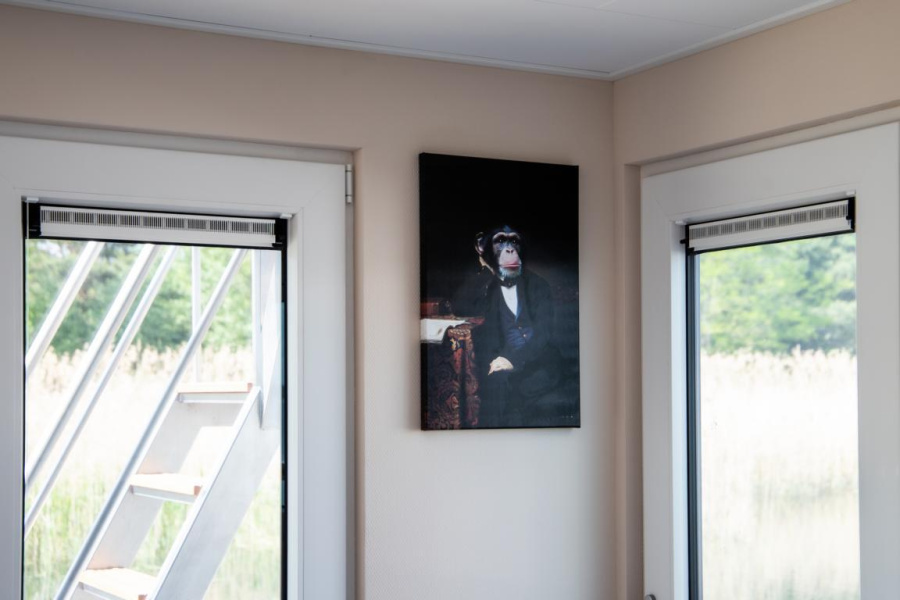 Photo #11 - FLOATING44-3 (Hausboot Queen - LP6) in Vetschau - 2128