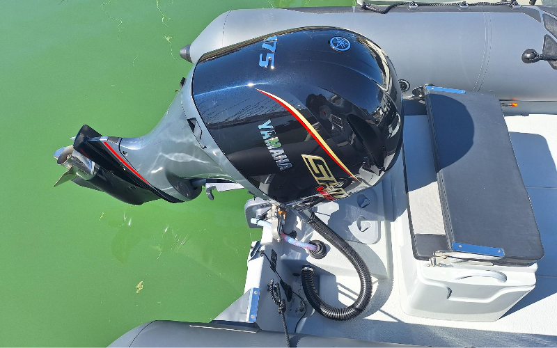 NARWHAL 670 — photo 108