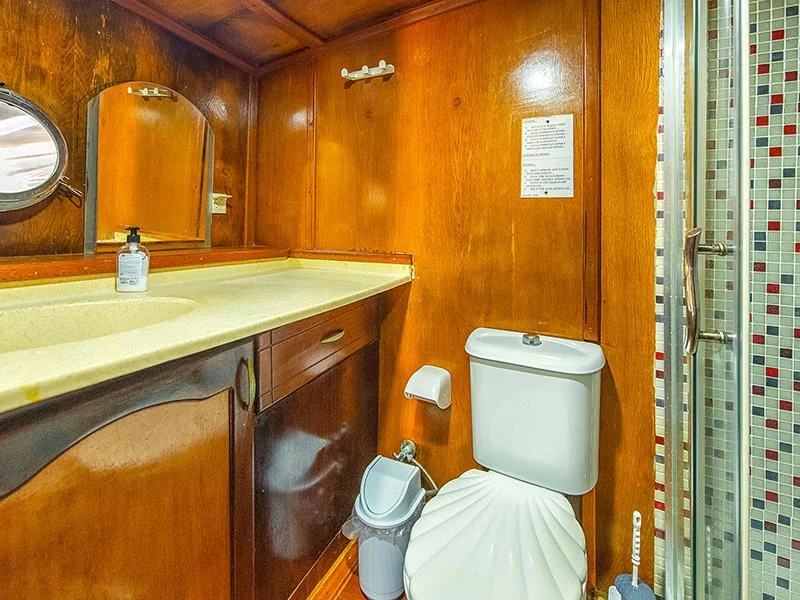 Gulet- Grand Alaturka (GRAND ALATURKA) Cabin bathroom - 40