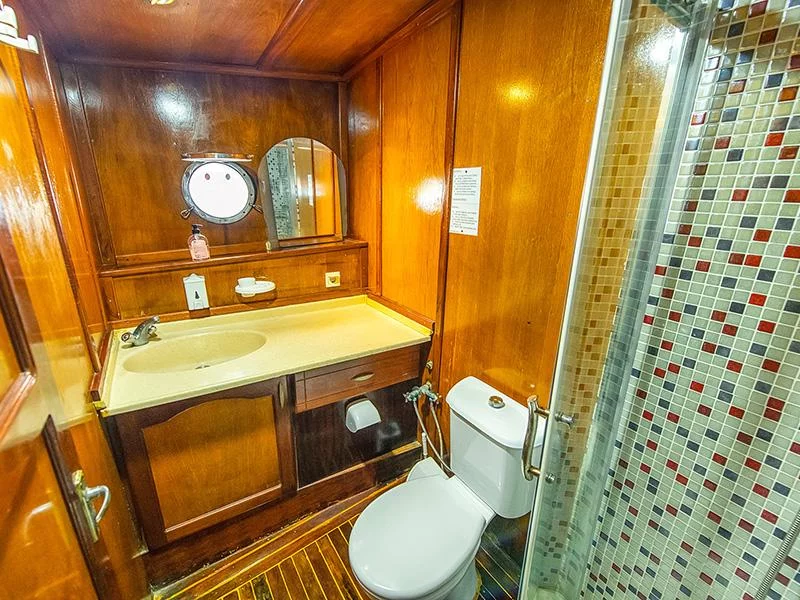Gulet- Grand Alaturka (GRAND ALATURKA) Cabin bathroom - 46