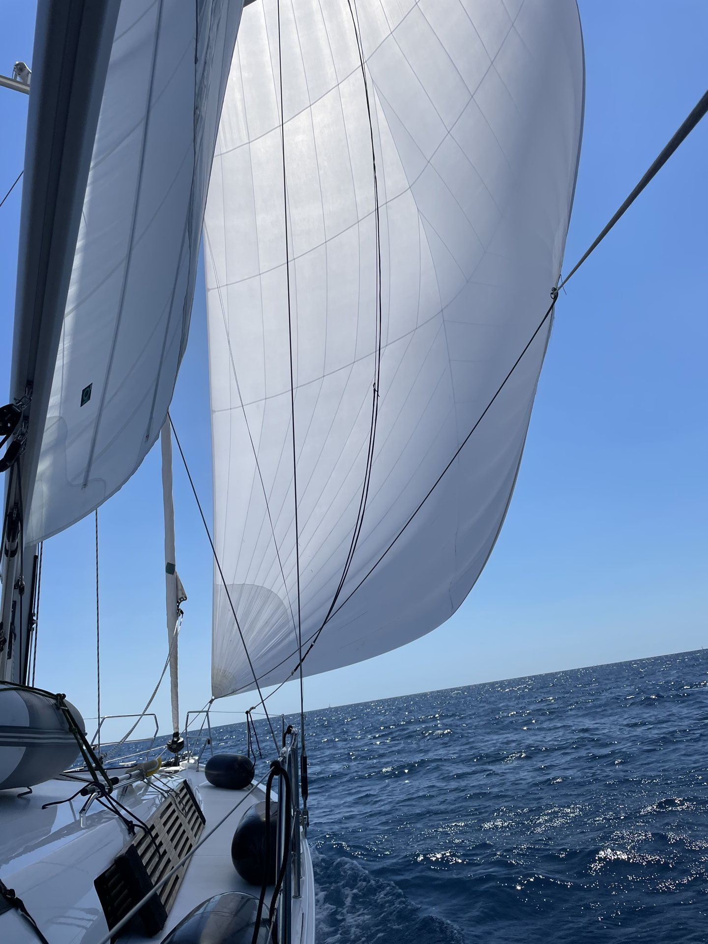 Photo #18 - Hanse 460 (Freebe) in Pula - 6509