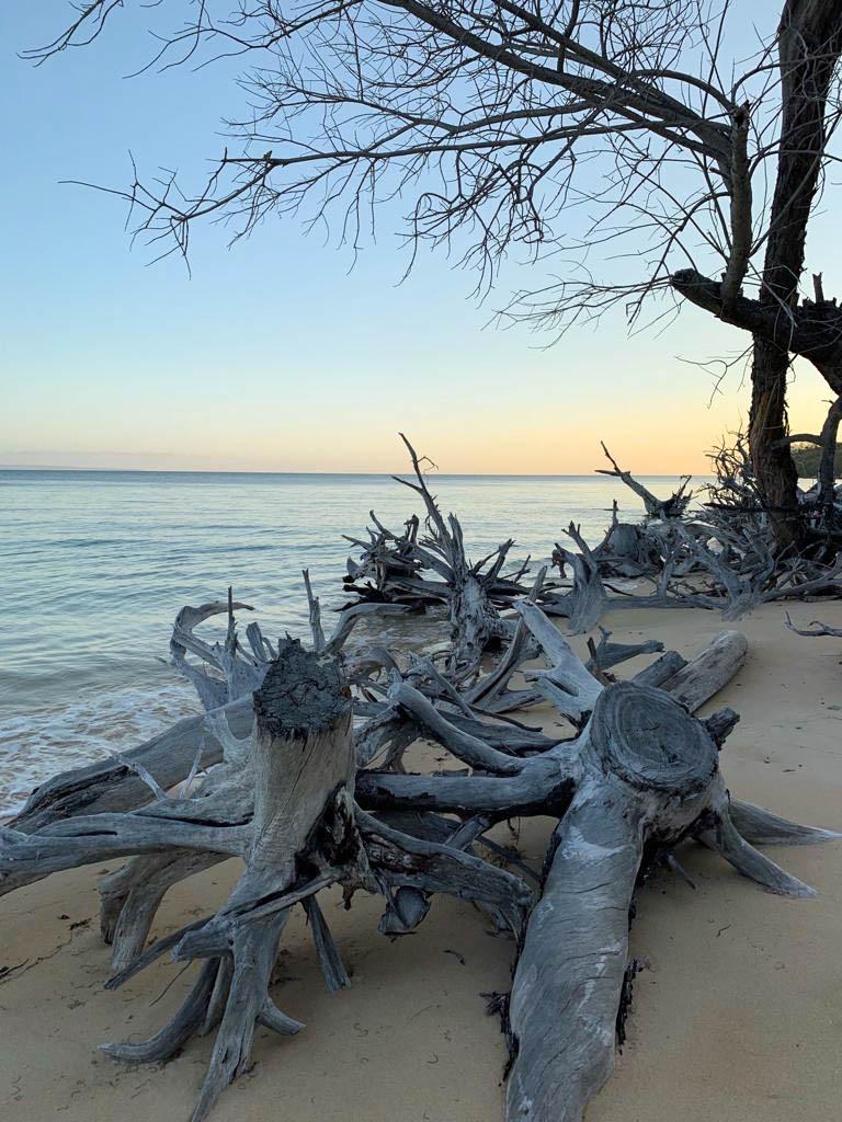 Photo #10 - Lagoon 380 (BALAO) in Nosy Be - 11419
