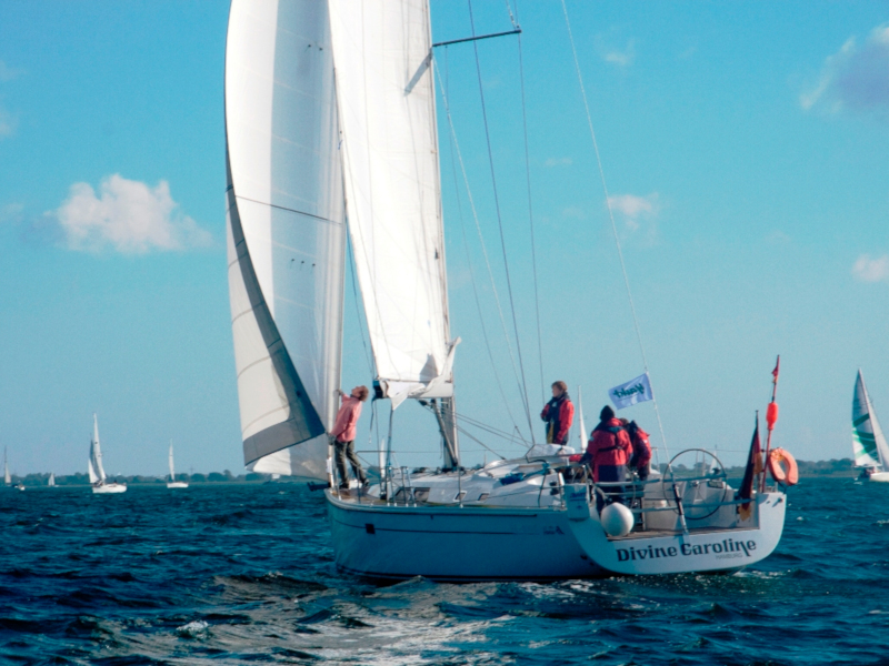 Photo #6 - Hanse 430e (Divine Caroline) in Altefahr - 12354