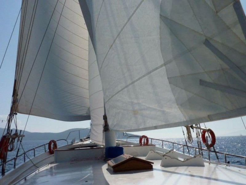 Photo #16 - Gulet Bibi Aysegul (Bibi Aysegul) in Bodrum - 9657