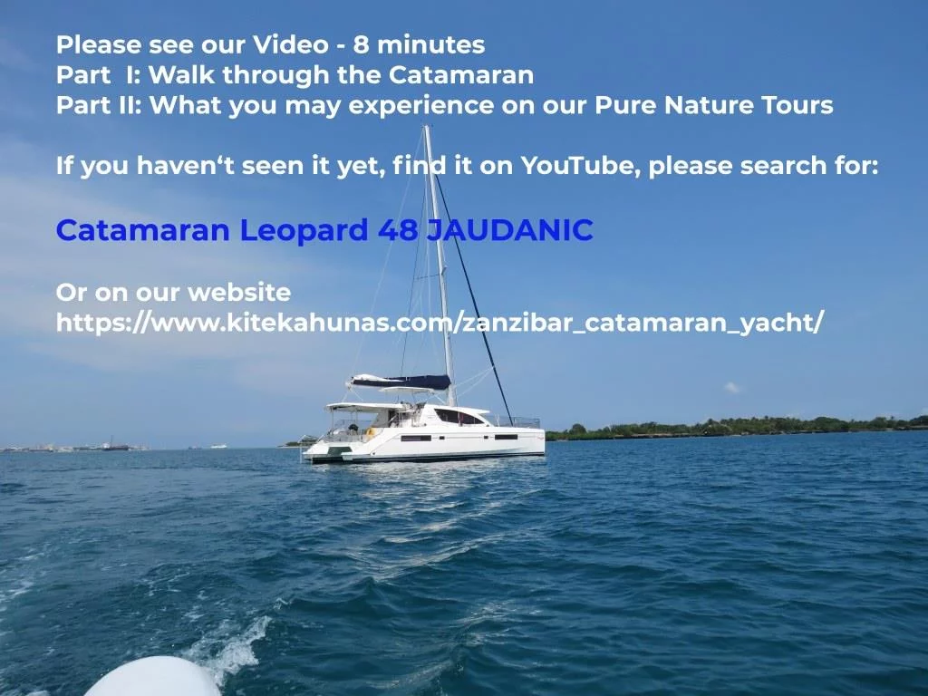 Leopard 48 (JAUDANIC III)  - 42