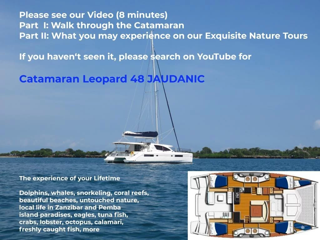 Leopard 48 (JAUDANIC III)  - 30