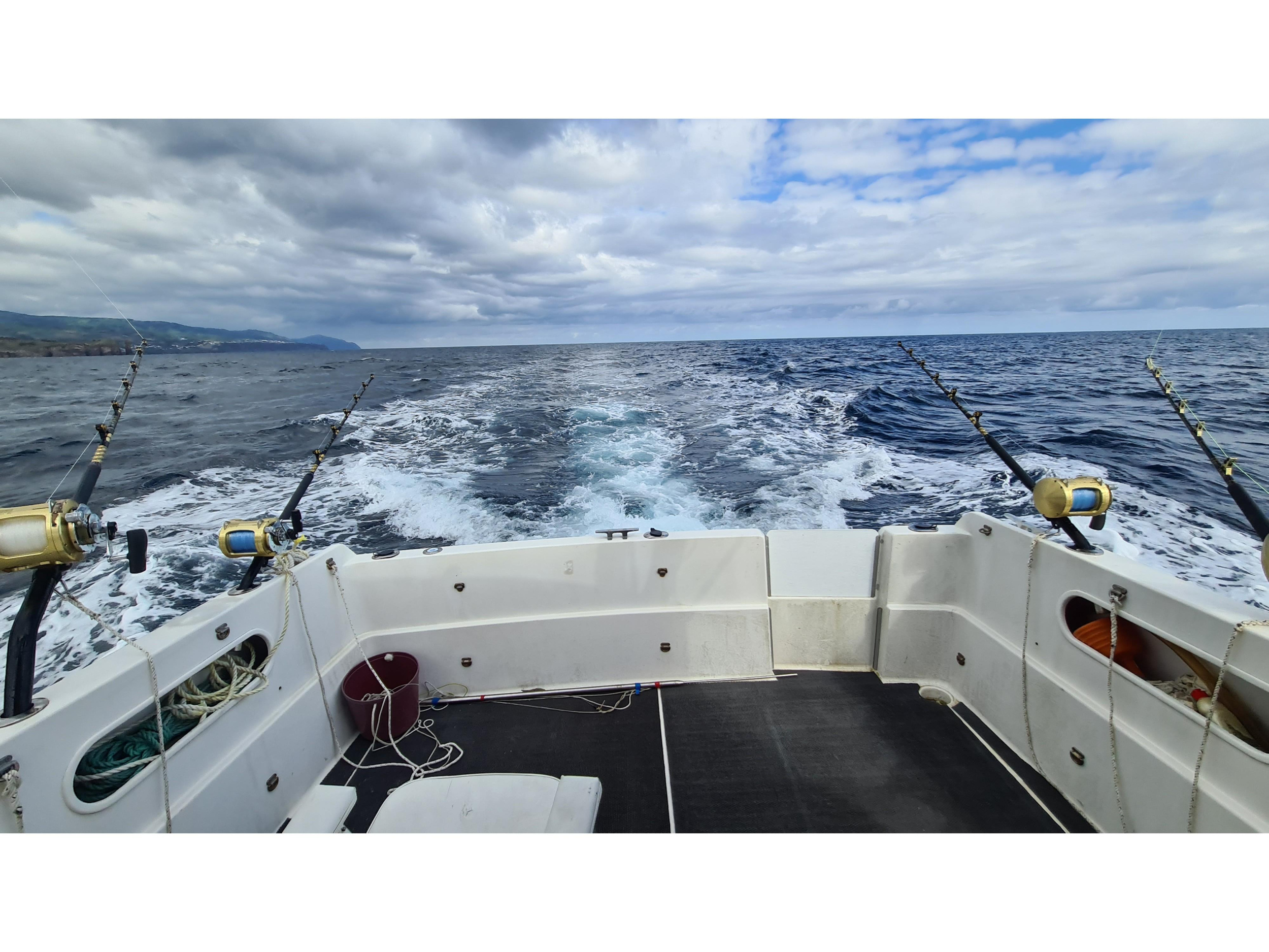 Photo #3 - Rodman 900 Fly (Raiado) en Sao Miguel - 23357