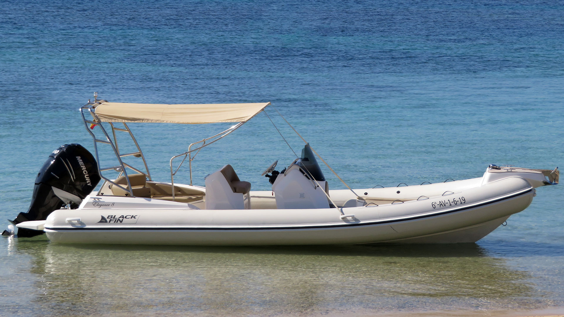 Photo #5 - Blackfin Elegance 8 (Blanca) in Talamanca - 17606