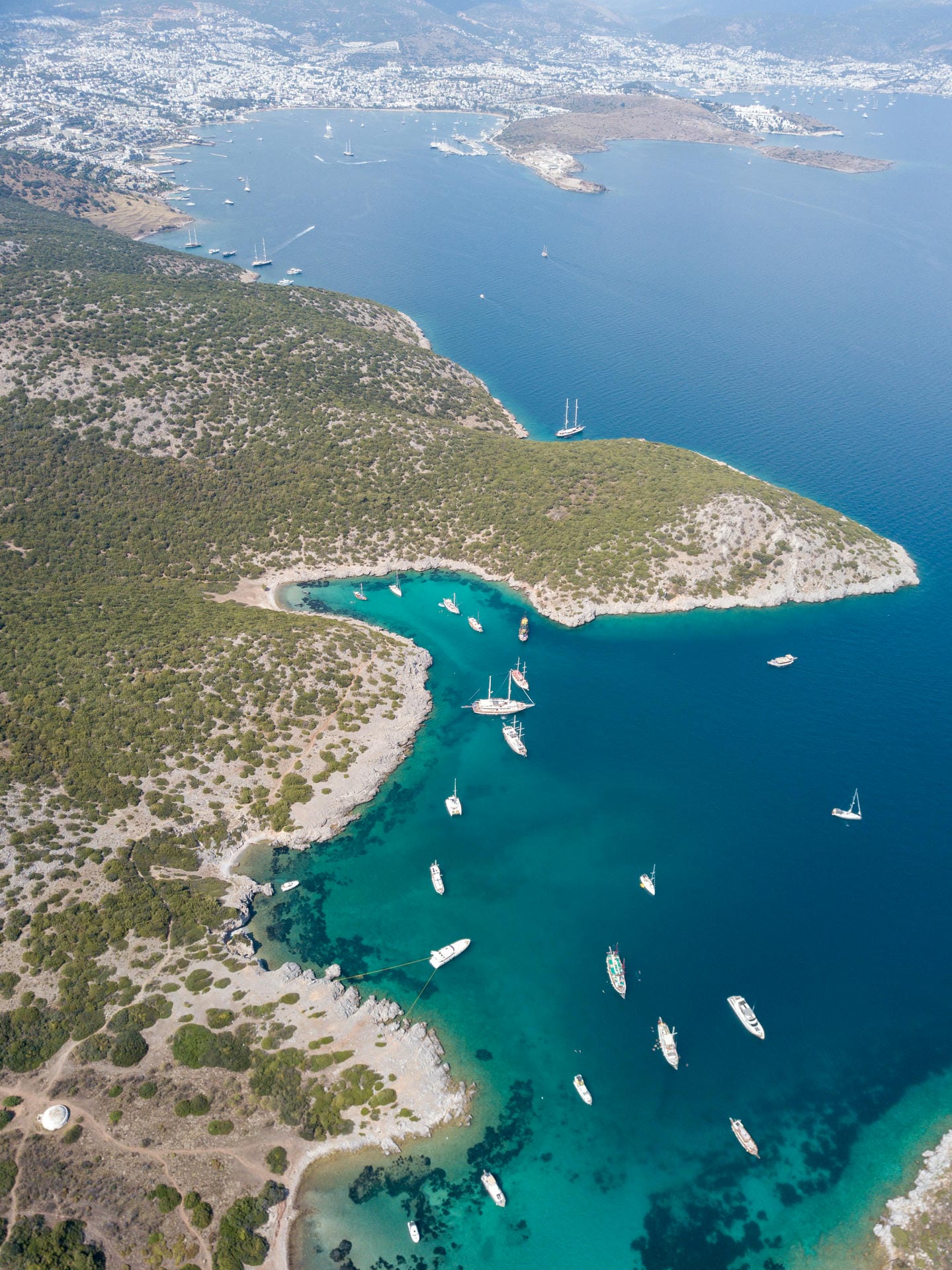 Photo #117 - Boreas (Boreas) in Bodrum - 18809