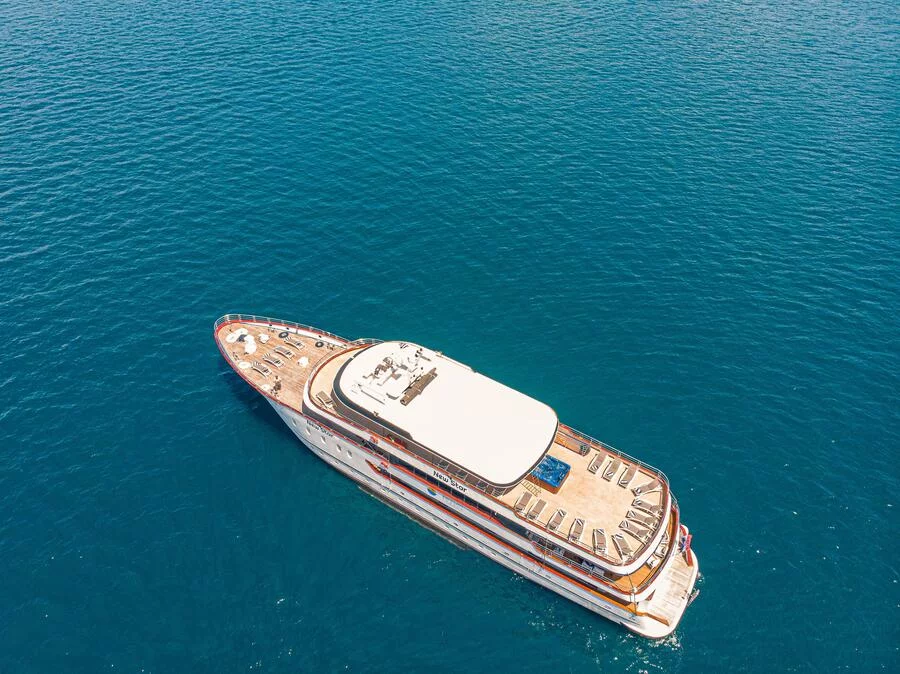 Luxury Motor Yacht (New Star)  - 4