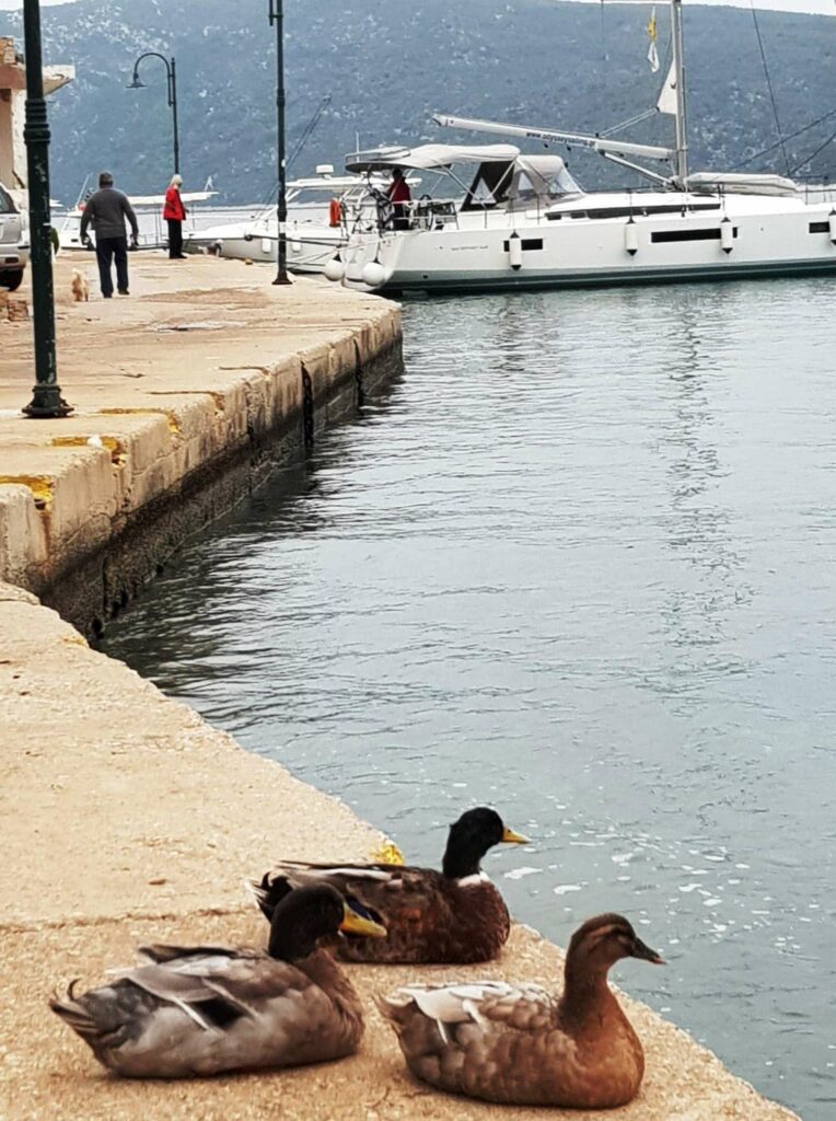 Photo #12 - Sun Odyssey 440 (Celene - new watermaker 2022!) in Volos - 9225