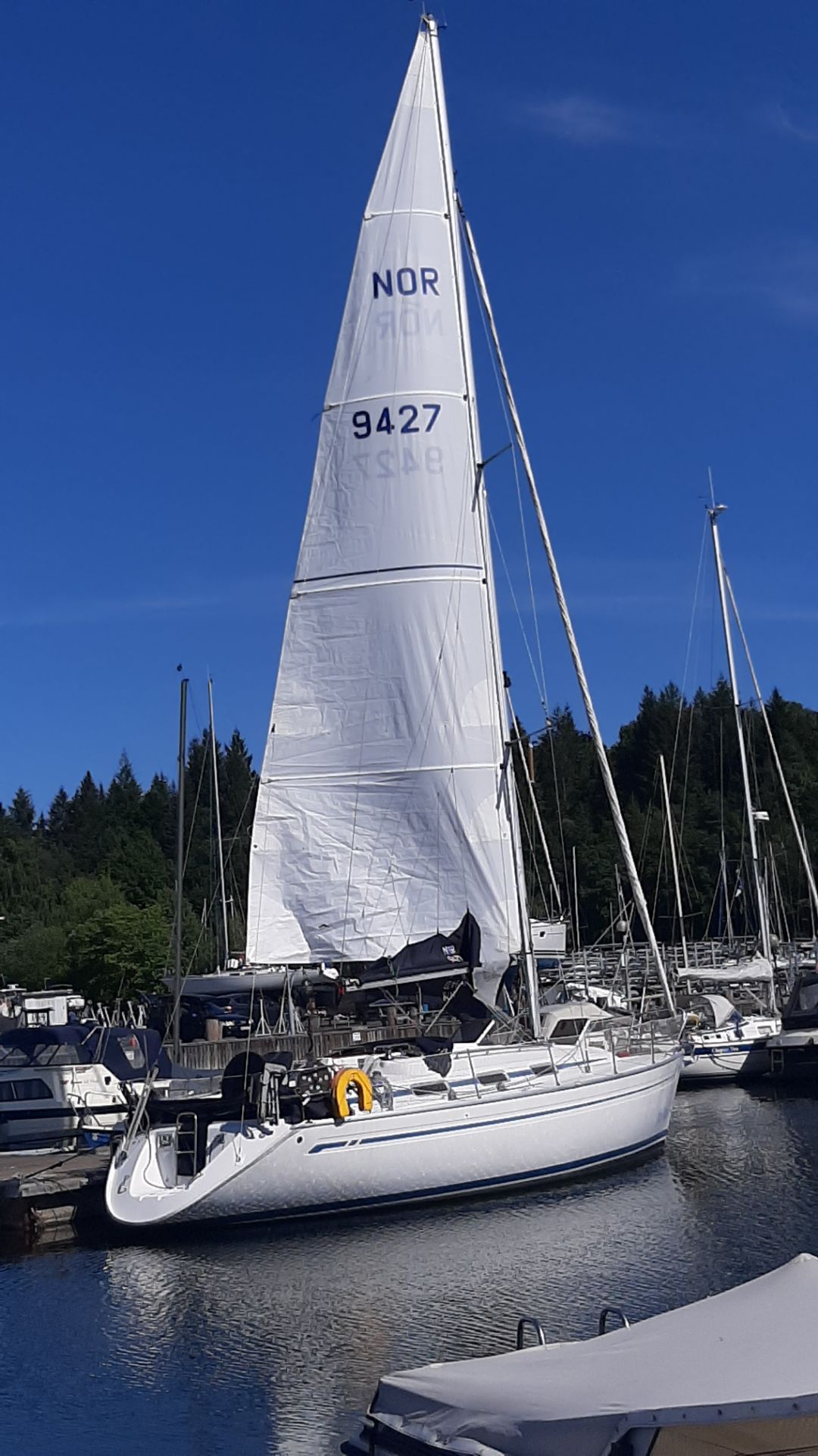 Photo #9 - Bavaria 36 Cruiser (Alto Mare) en Bergen - 20154