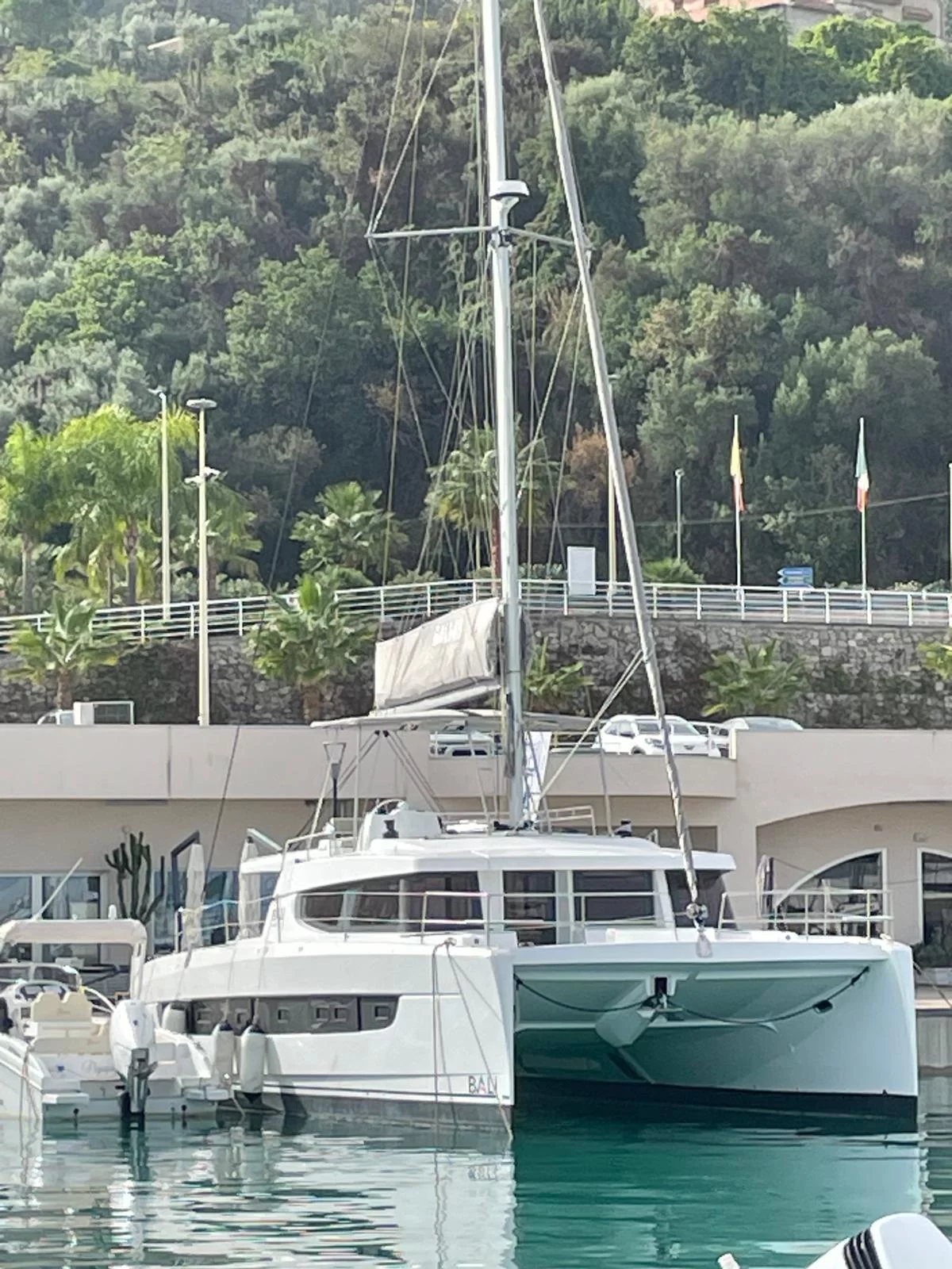 Bali 4.8 Silver Dolphin (Silver Dolphin)  - 21