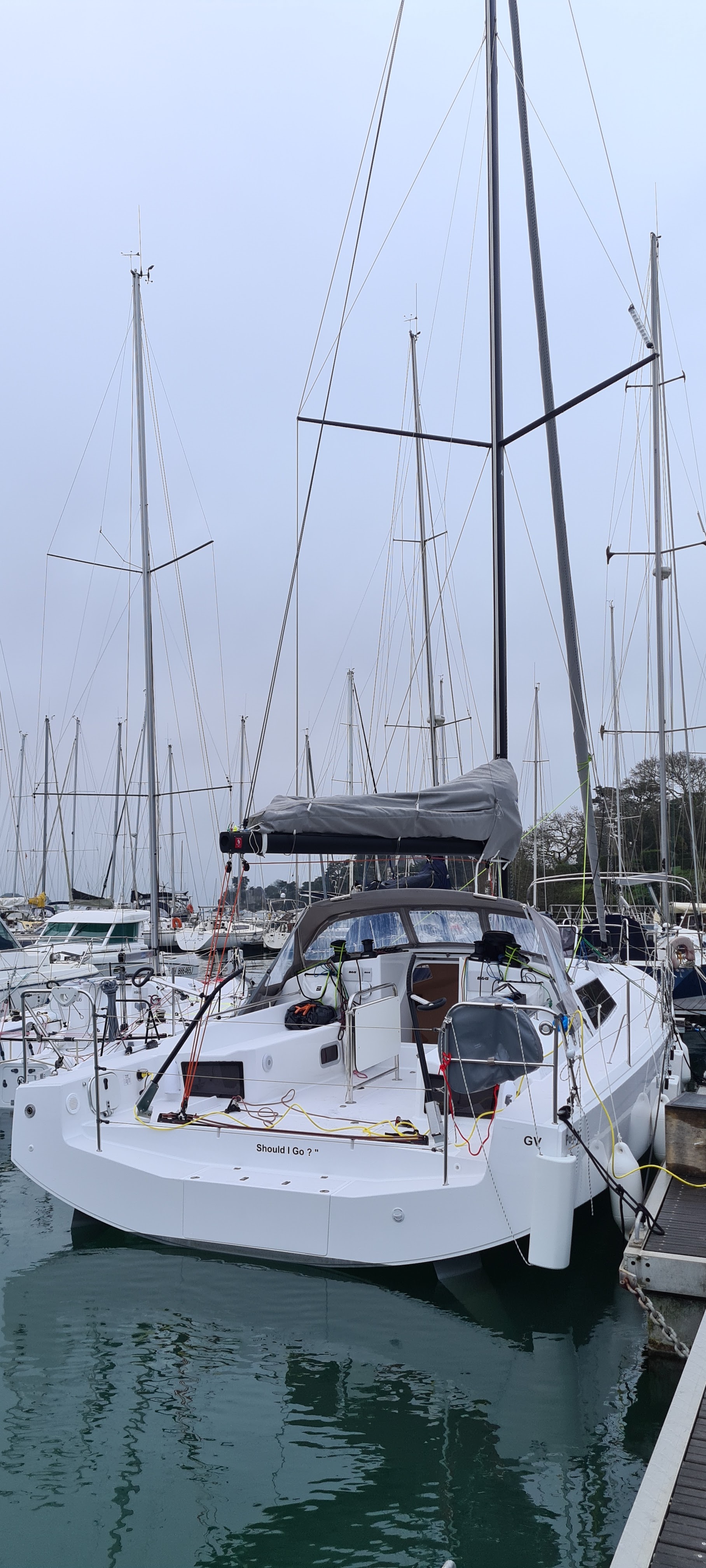 Photo #8 - Pogo 36 (SHOULD I GO) en La Rochelle - 20894