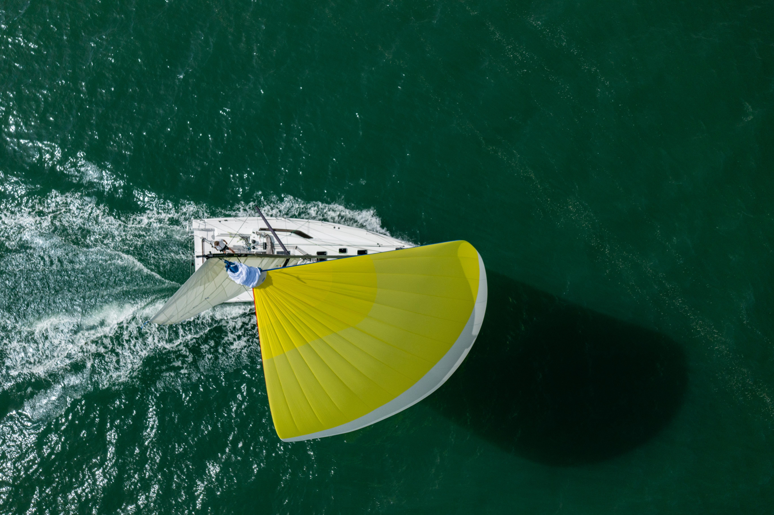Photo #25 - Pogo 36 (SHOULD I GO) en La Rochelle - 20894