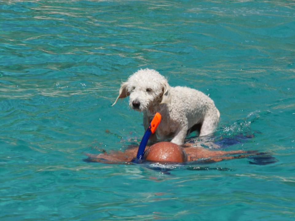 Photo #7 - Oceanis 51.1 (Ef Zin) in Skopelos - 13070