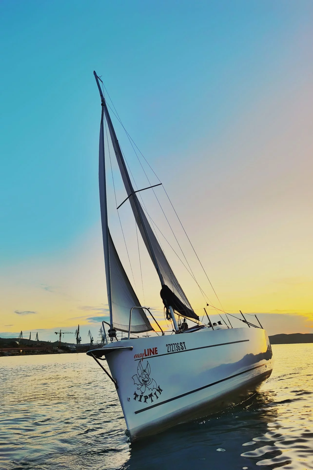 Viko S 21 (Tiptih)  - 17