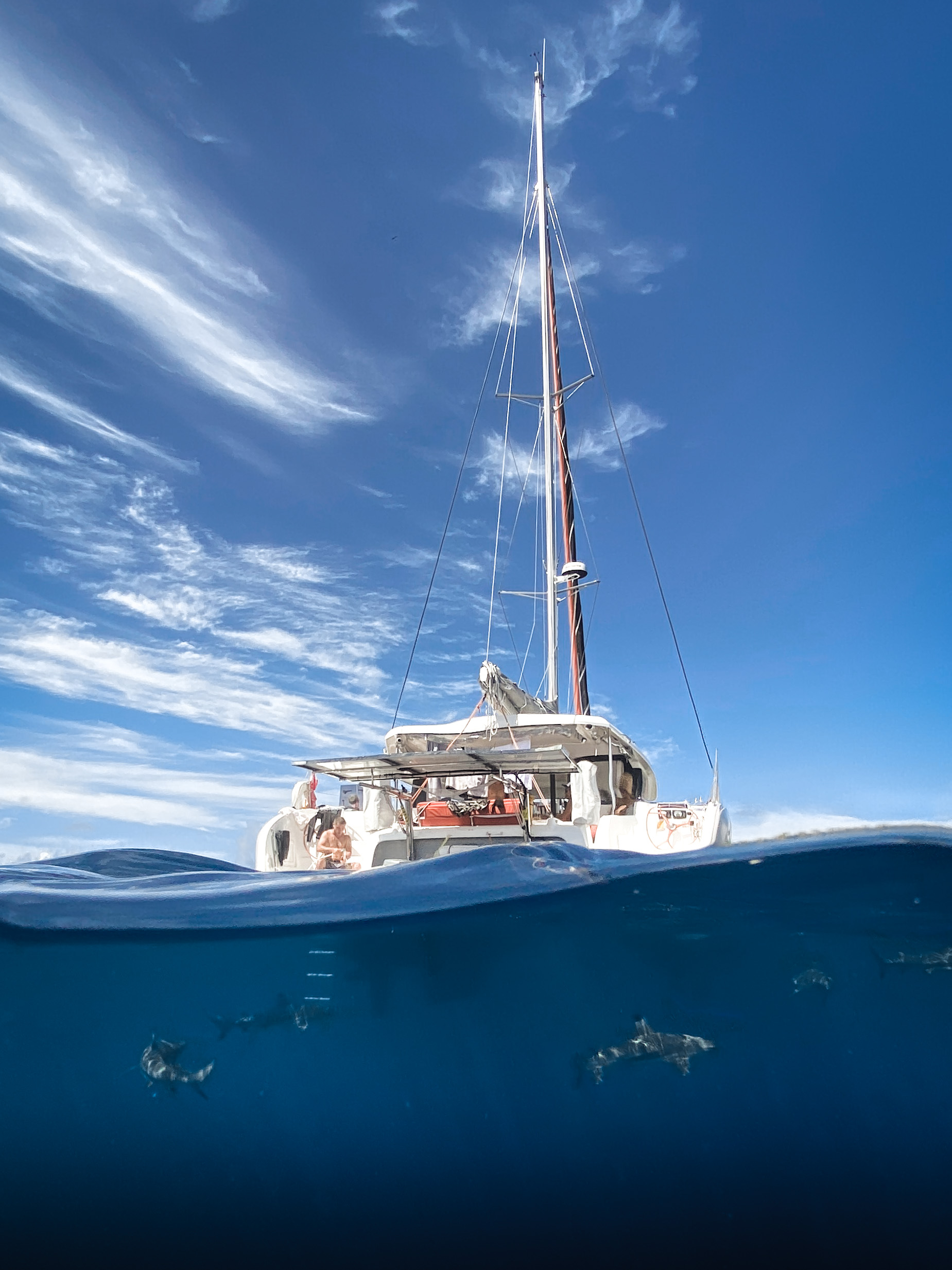 Photo #15 - Excess 11 (Owners Version) (Albatross) in Papeete - 21238