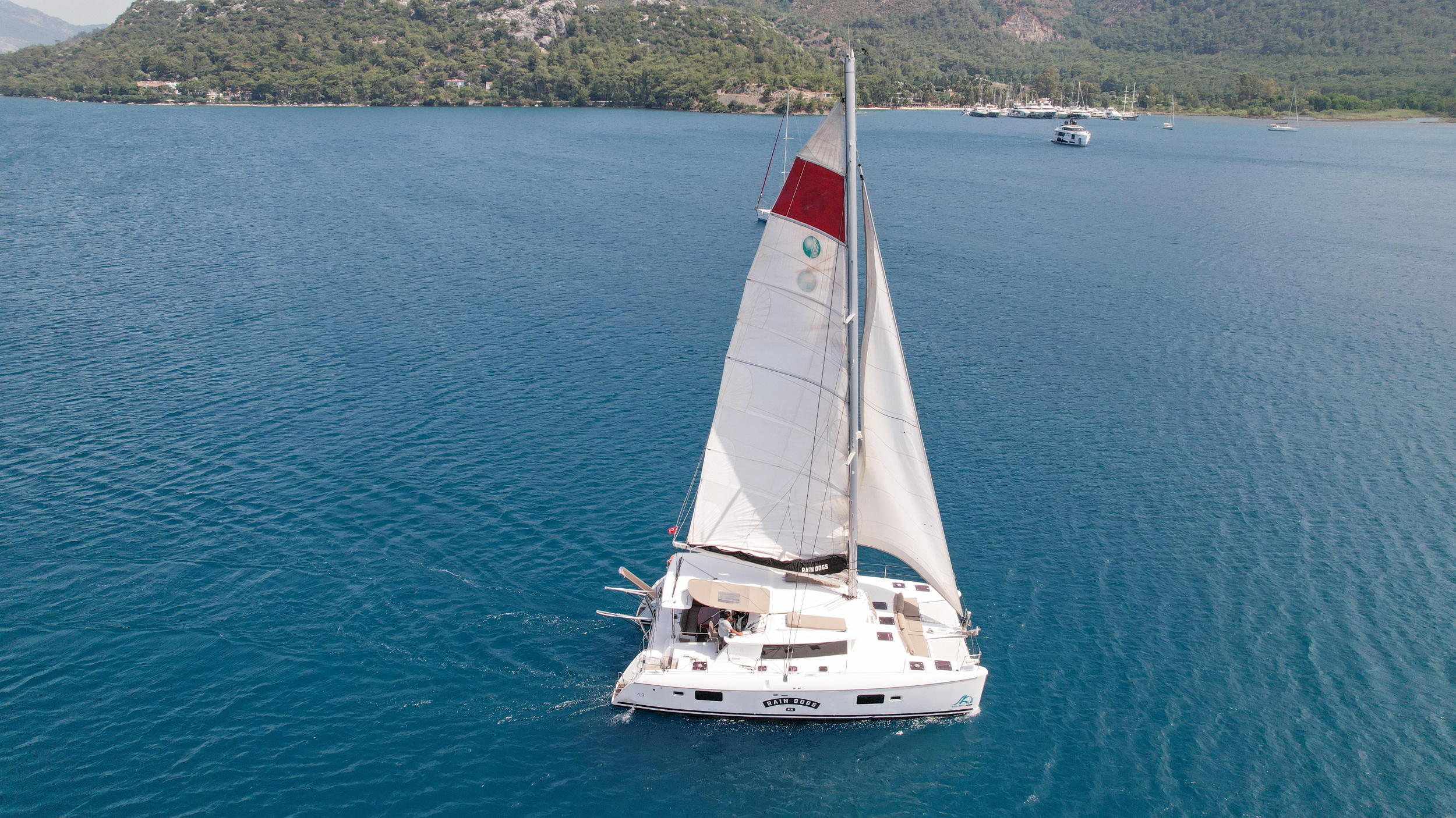 Photo #81 - Lagoon 421 (Rain Dogs) in Marmaris - 13135