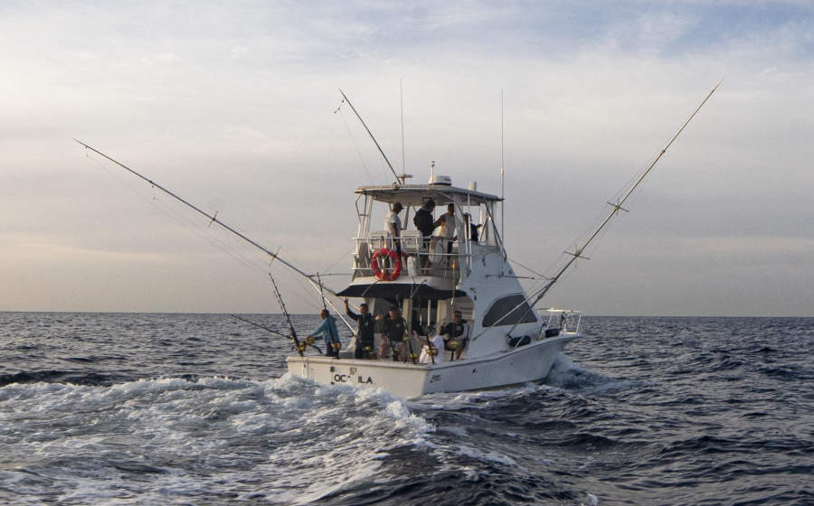 Photo #6 - Luhrs 340 (Ocadilla) in Tenerife - 21829