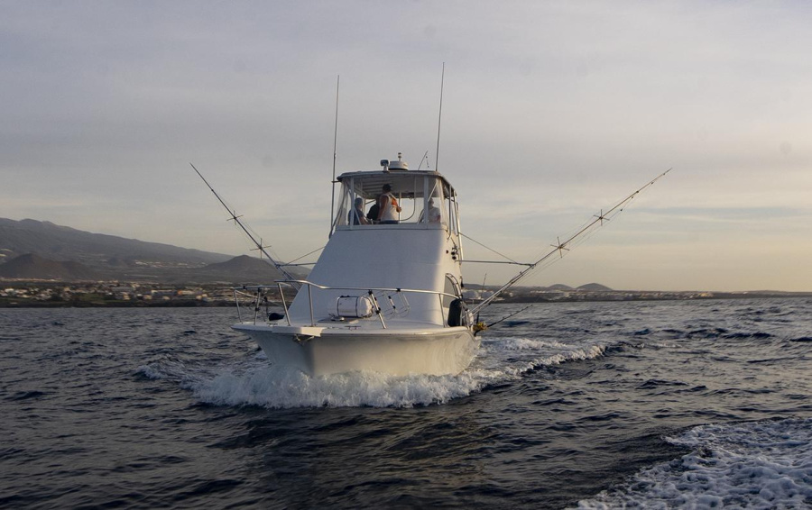 Photo #13 - Luhrs 340 (Ocadilla) in Tenerife - 21829