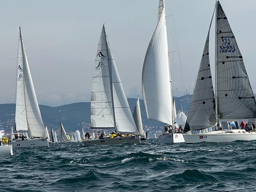 Photo #2 - Hanse 505 (Wrungel) in Rovigno - 22269