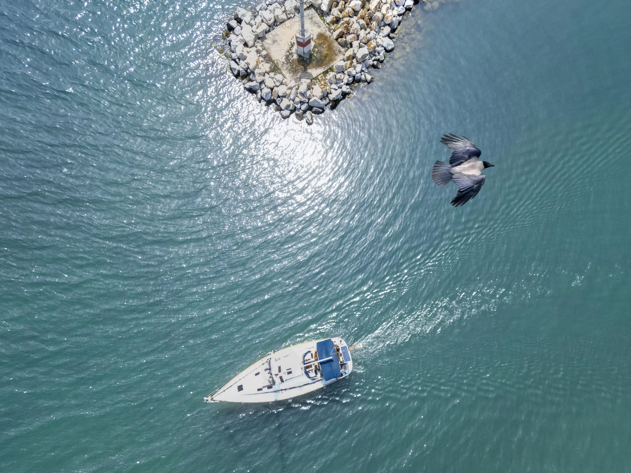 Bavaria 46 Cruiser (Fox)  - 2