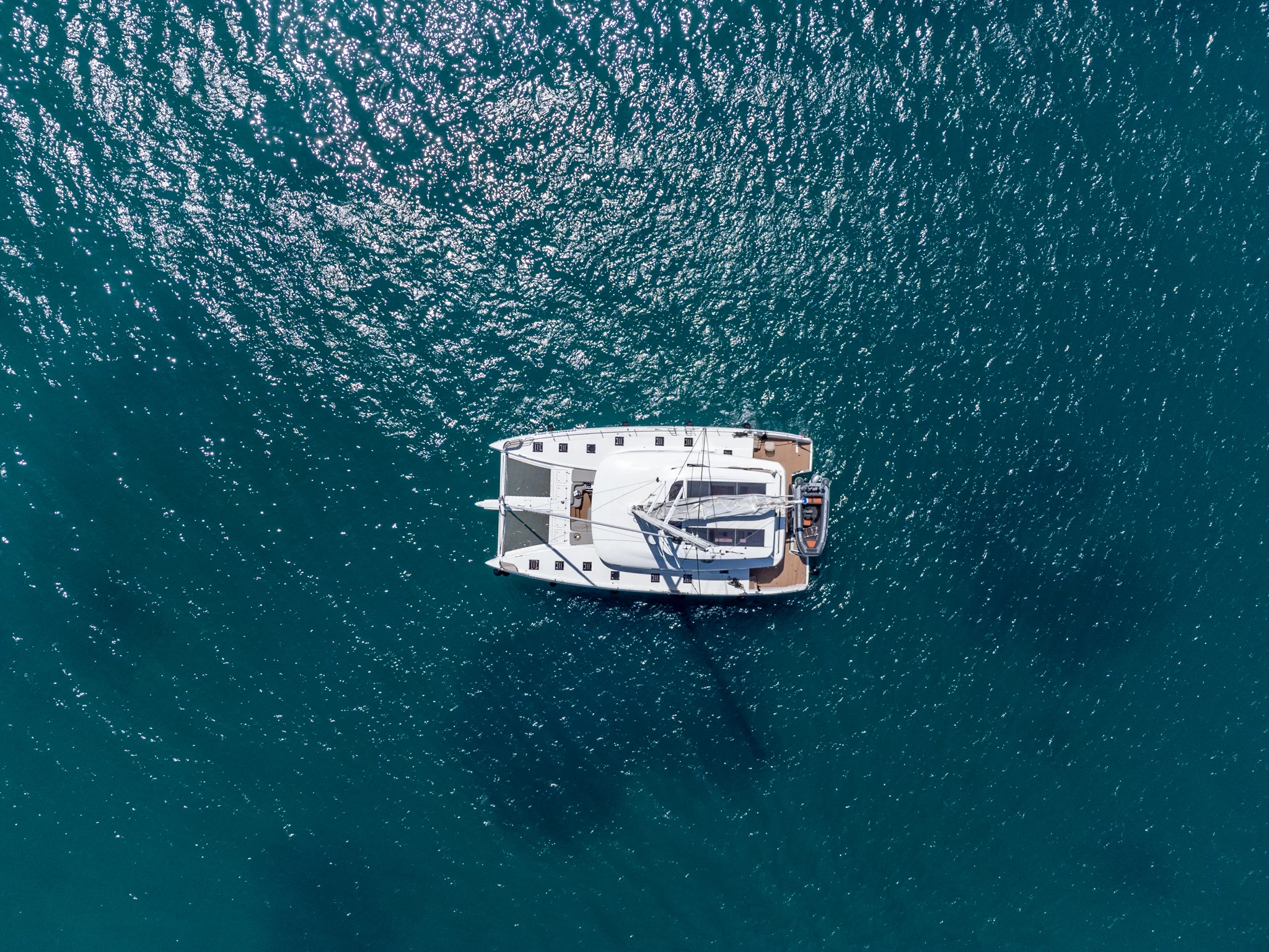 Lagoon Sixty 5 (SEADUCTIVE ORCA)  - 5