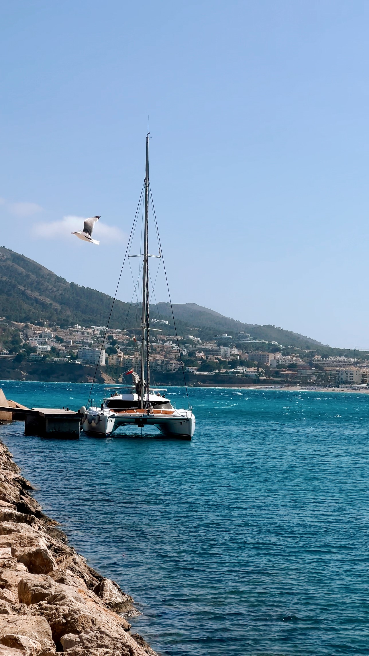 Photo #41 - Bahia 46 (Alion) in Altea - 22692