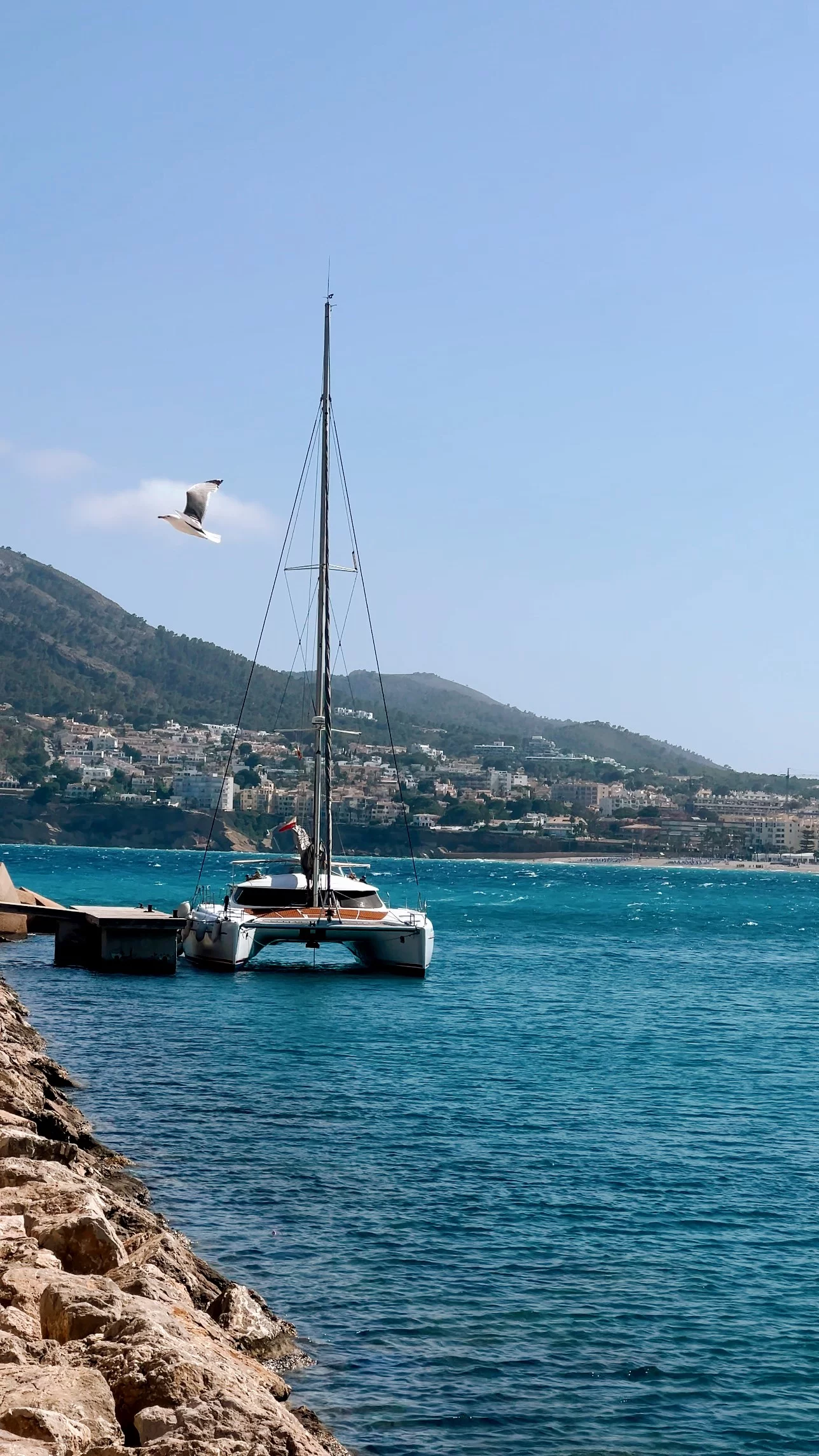 Bahia 46 (Alion)  - 40