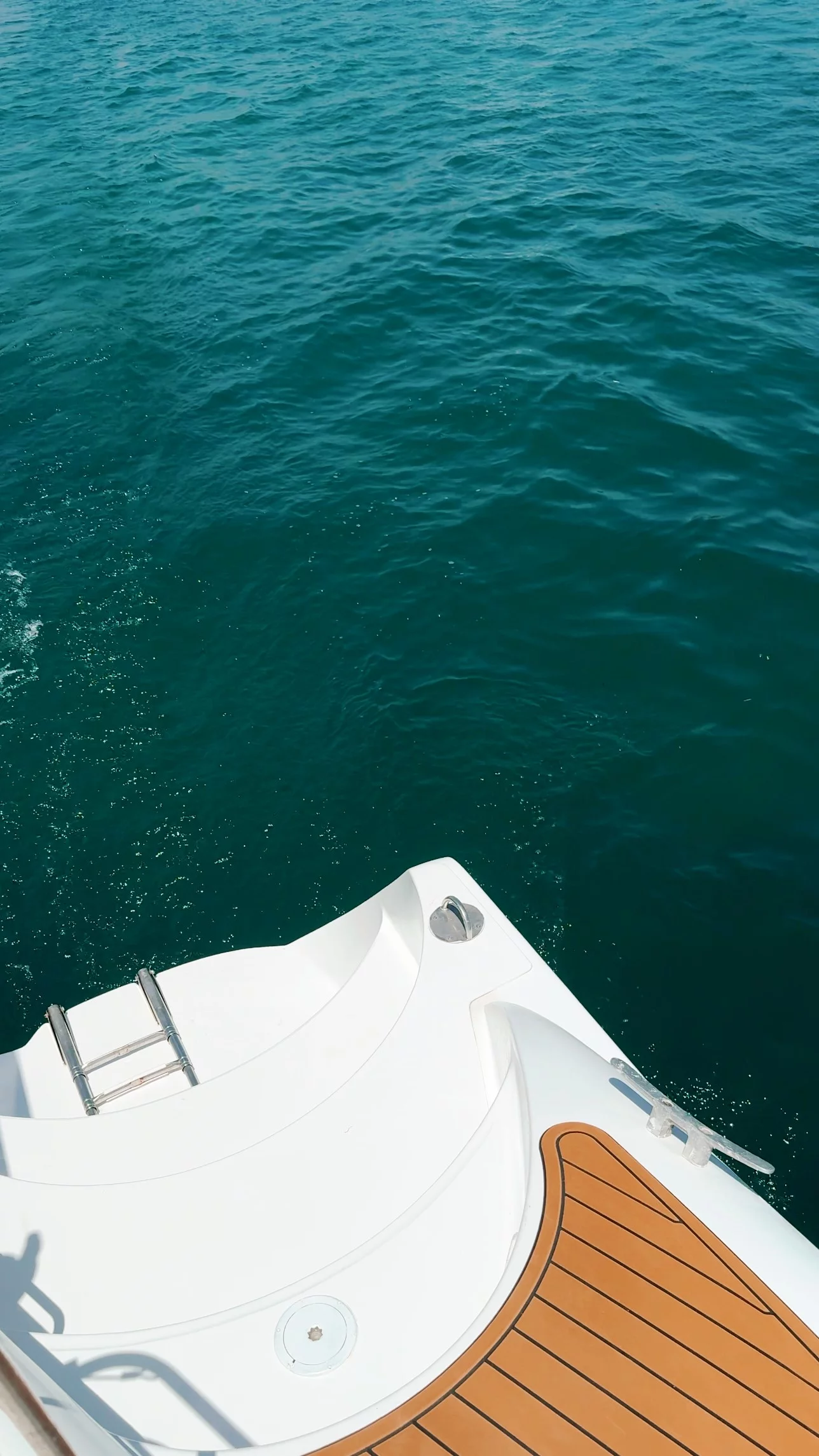 Bahia 46 (Alion)  - 31