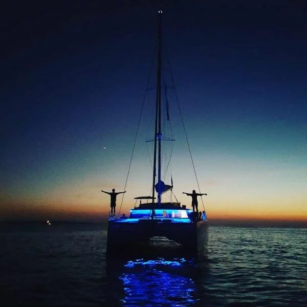 Saona 47 (Nocrala)  - 20