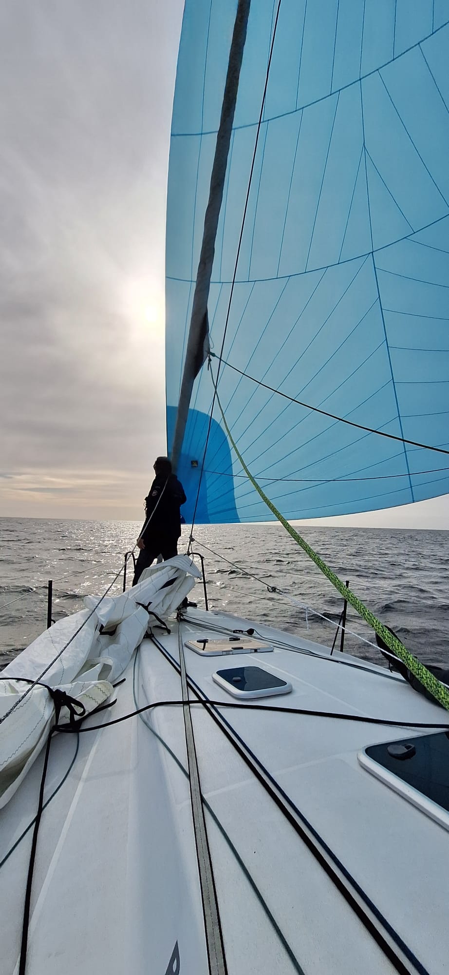 Photo #5 - Pogo 36 (SILVER WAVE) en La Trinite sur Mer - 22894