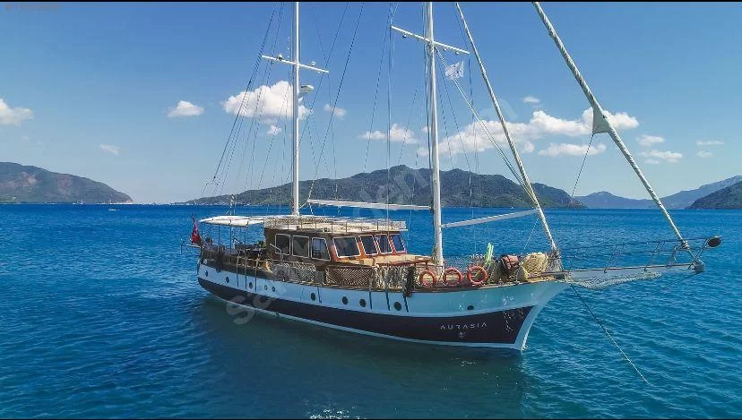 Auramia (Auramia)  - 15