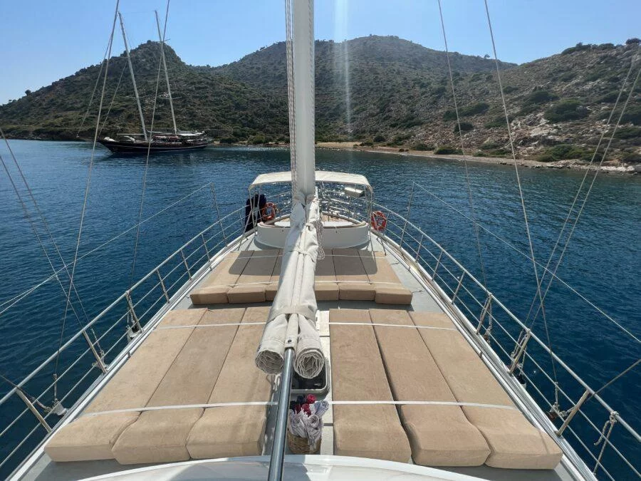 Lavinia (Lavinia)  - 15