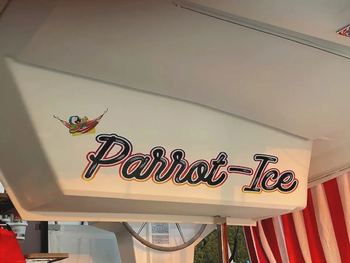 Fountaine Pajot Saona 47 (Parrot Ice)  - 25