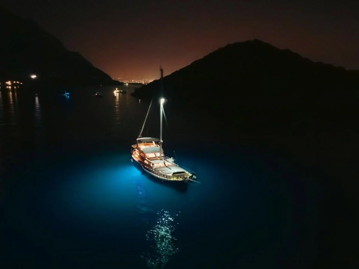 Motorsailer (Ozde 1)  - 5