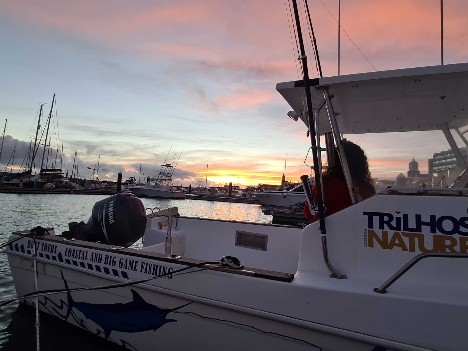 Photo #4 - Tecninautica Marlin 22 (Mare Nostrum) en Sao Miguel - 23358