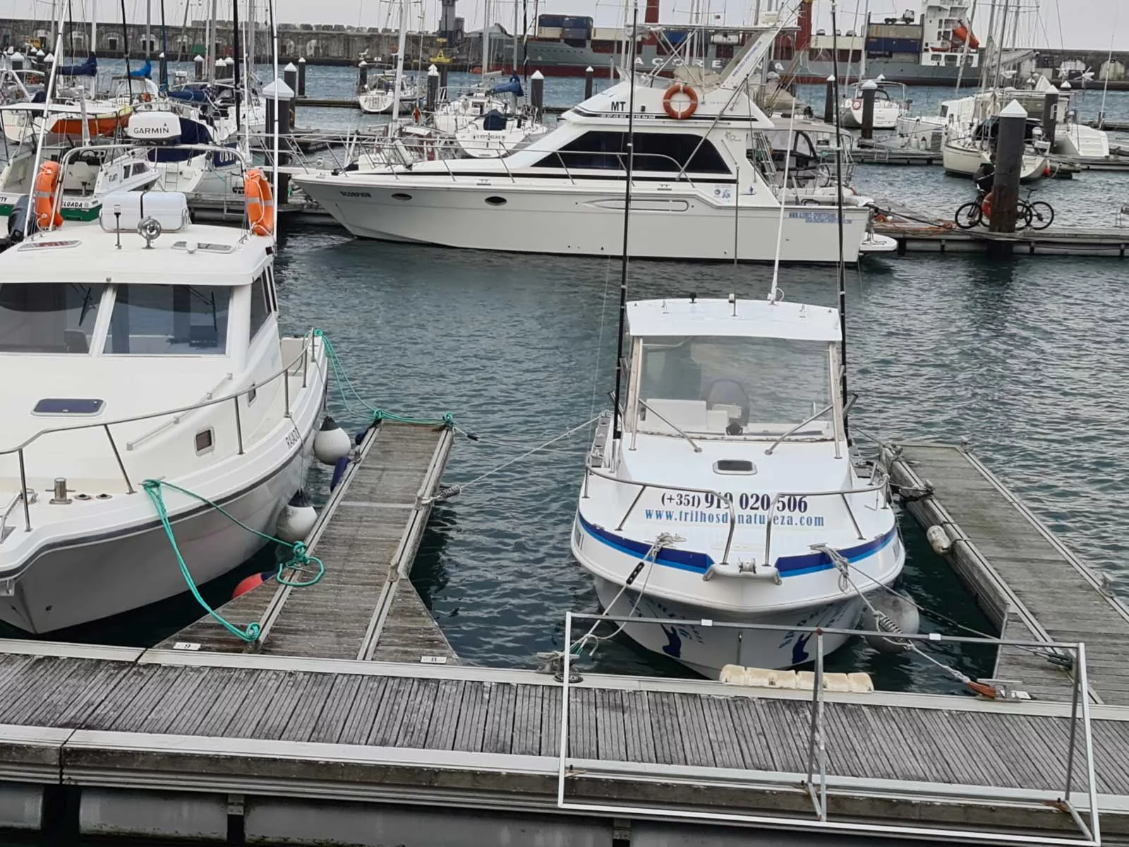 Tecninautica Marlin 22 (Mare Nostrum)  - 1