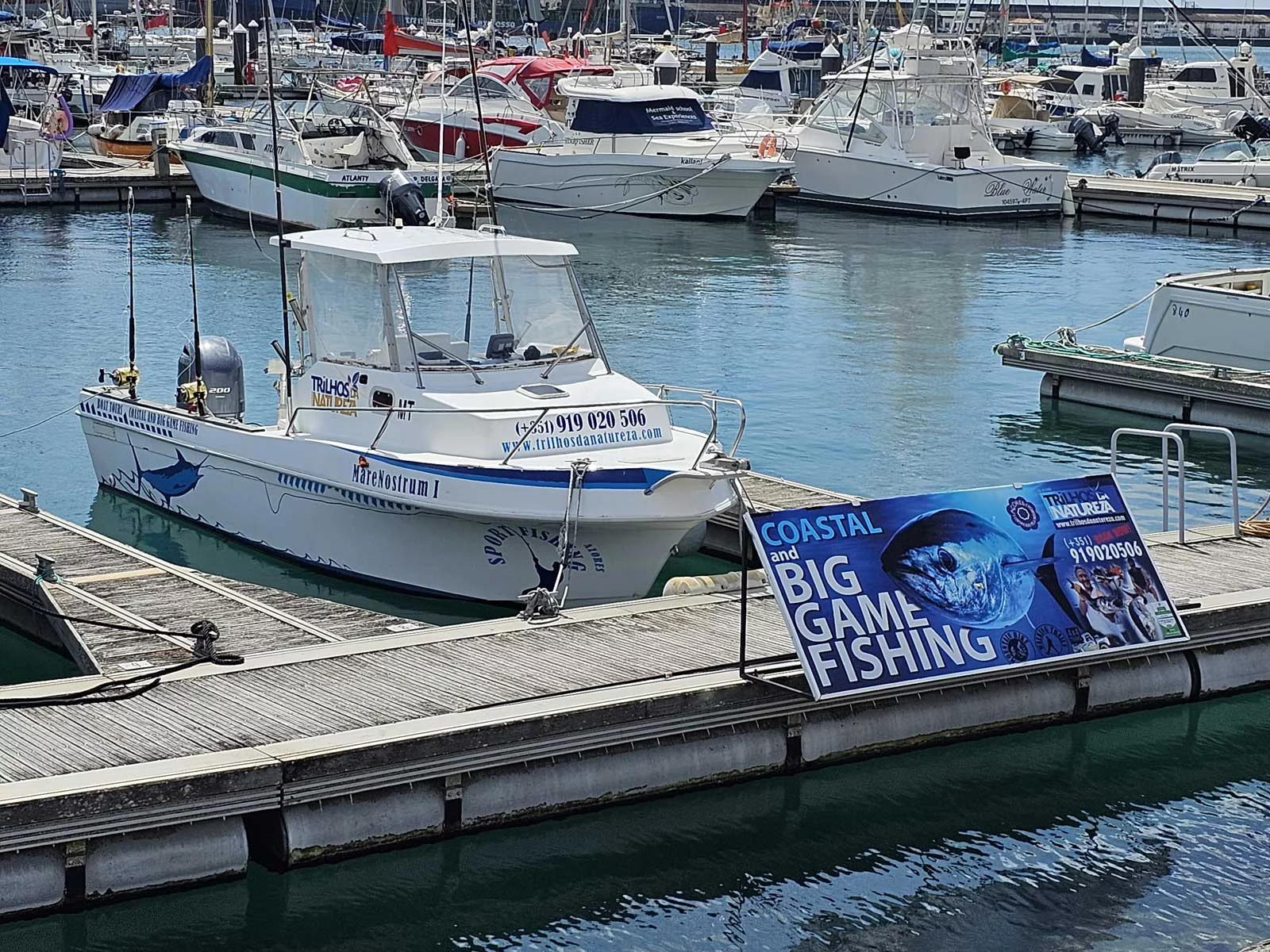 Tecninautica Marlin 22 (Mare Nostrum)  - 4
