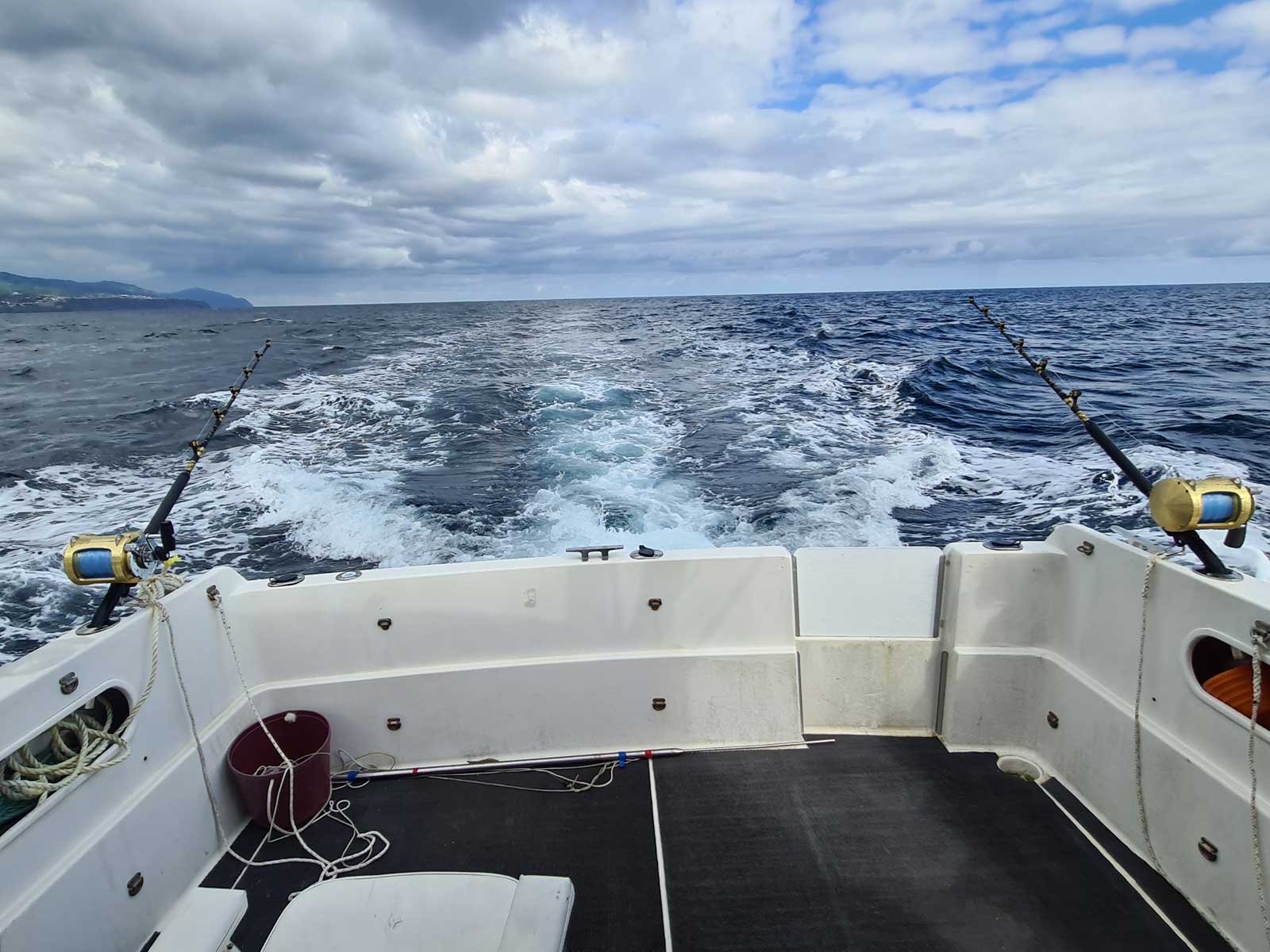 Photo #6 - Rodman 900 Fly (Raiado) en Sao Miguel - 23357