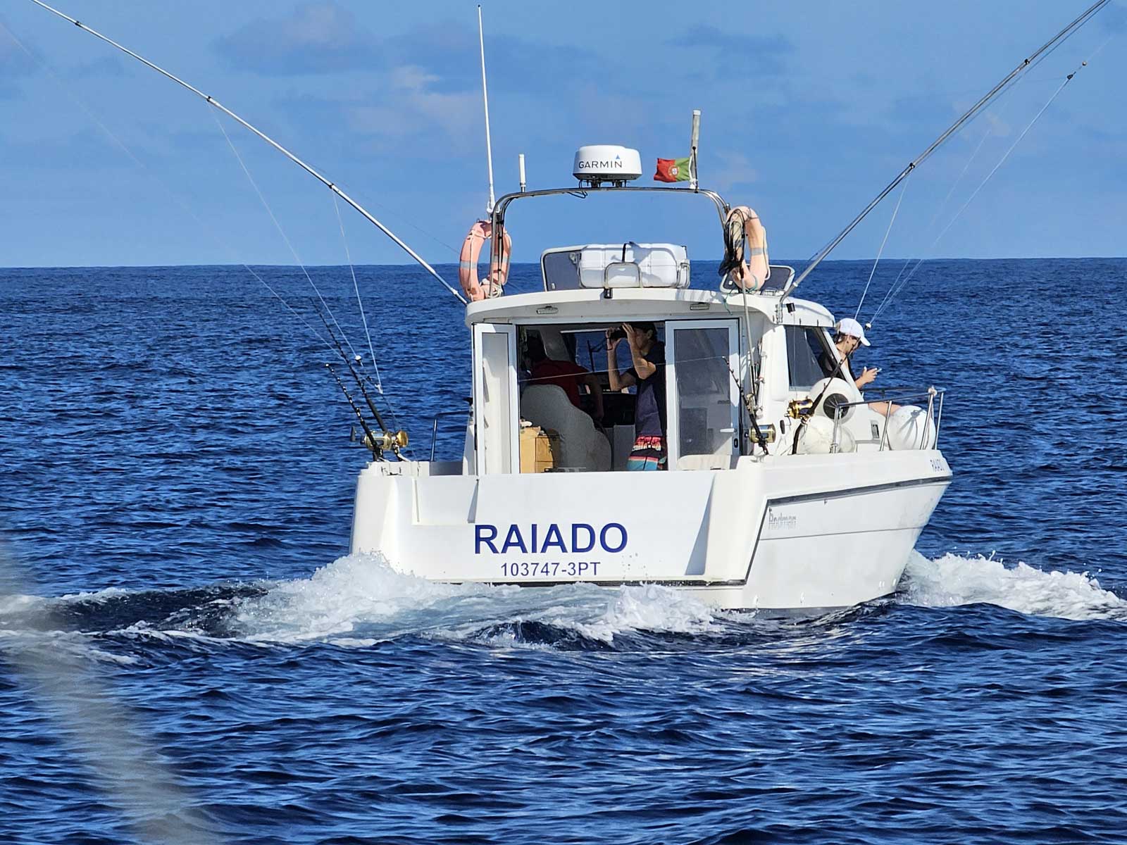 Photo #2 - Rodman 900 Fly (Raiado) en Sao Miguel - 23357