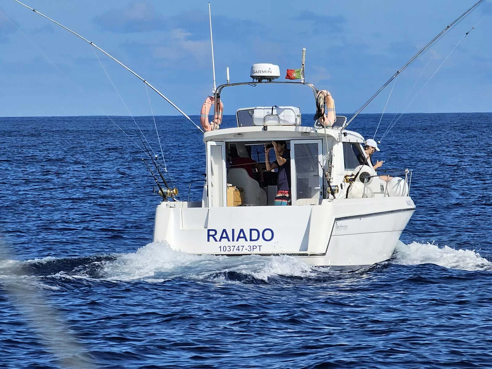Rodman 900 Fly (Raiado)  - 1