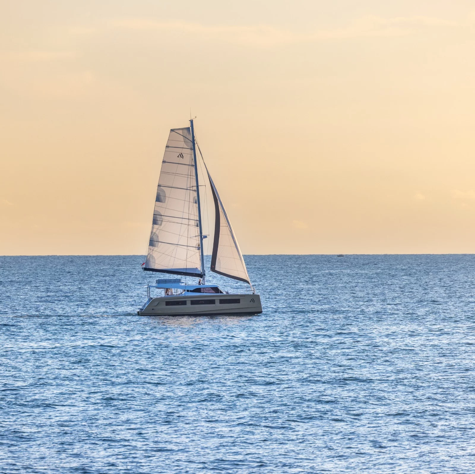 Aventura 45 (Carlota)  - 45