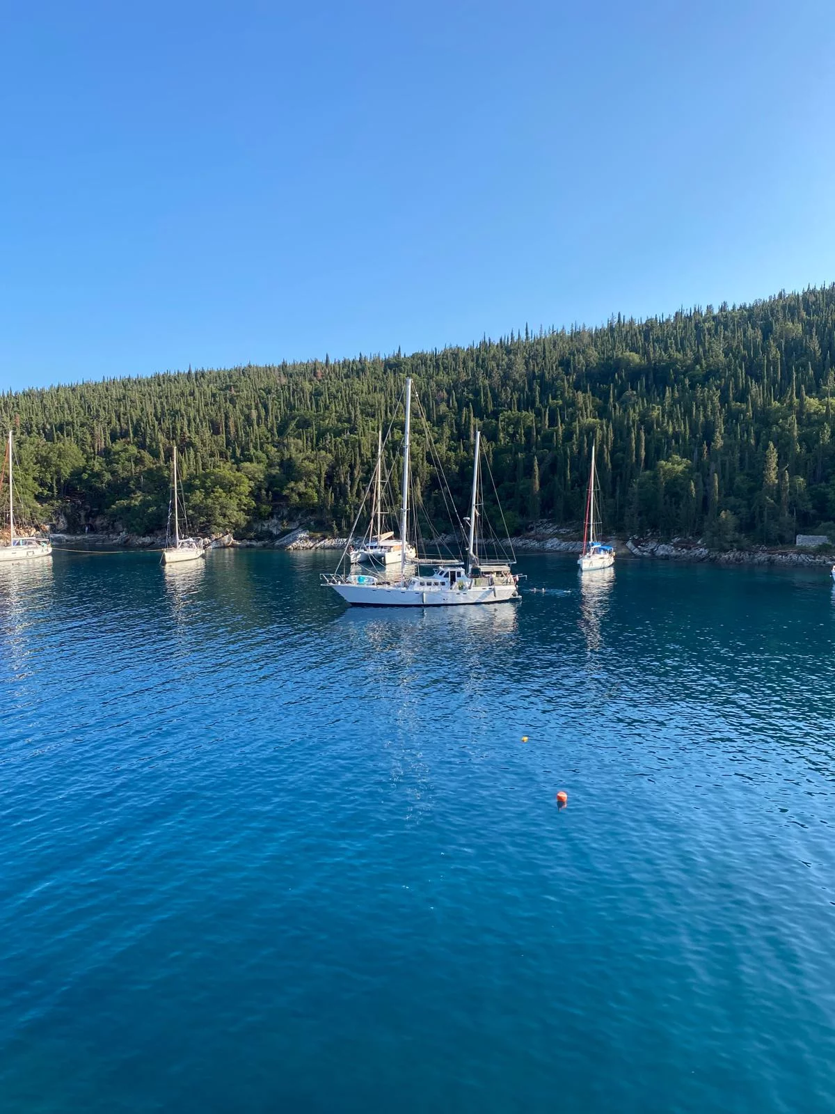 Ketch (Tama)  - 6