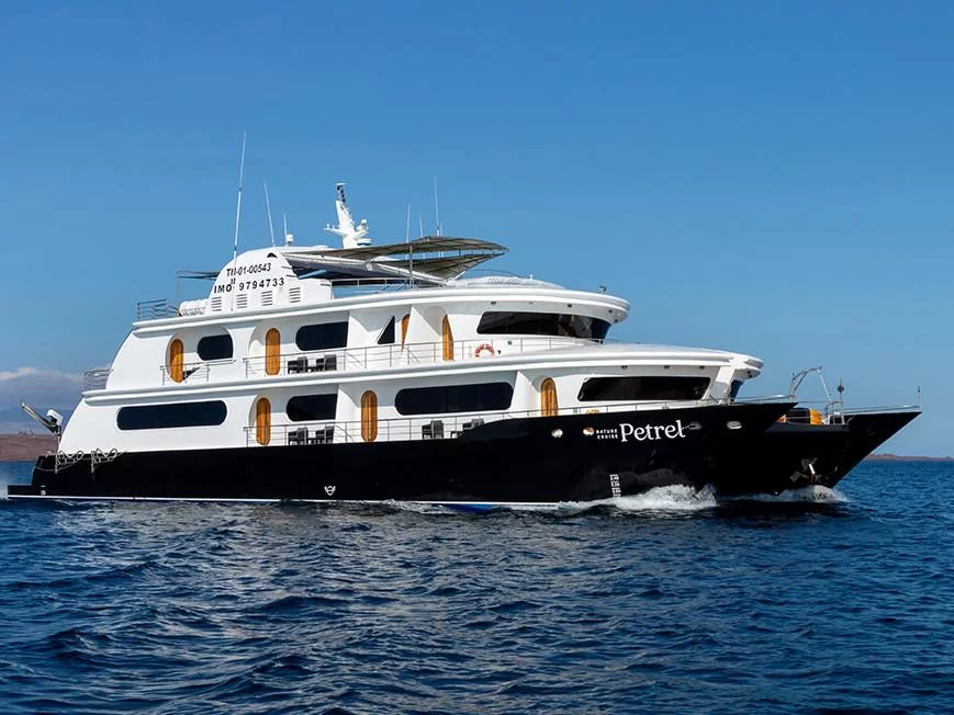 Power Cat - Petrel Cabin (Petrel) Main image - 0