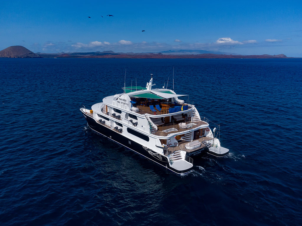 Photo #6 - Power Cat - Petrel Cabin (Petrel) in Galapagos - 61613
